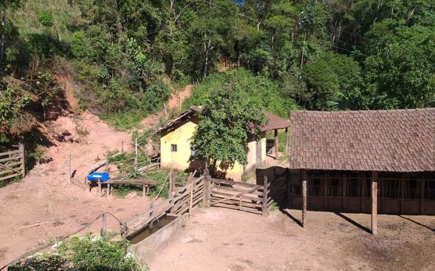 Fazenda Pedro Alves, Estrada de São João da Serra