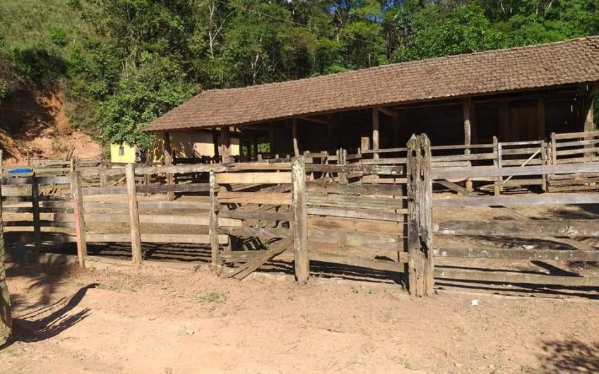 Fazenda Pedro Alves, Estrada de São João da Serra