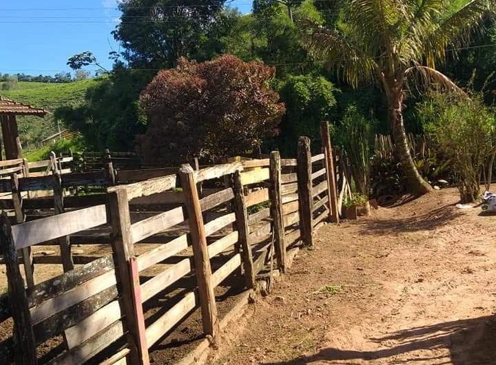 Fazenda Pedro Alves, Estrada de São João da Serra