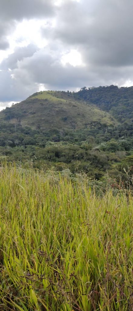 Mantiqueira