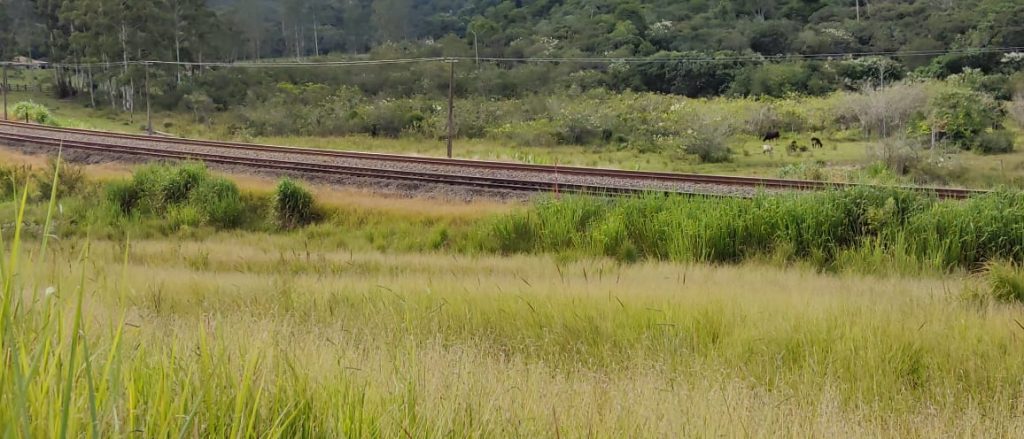 Mantiqueira