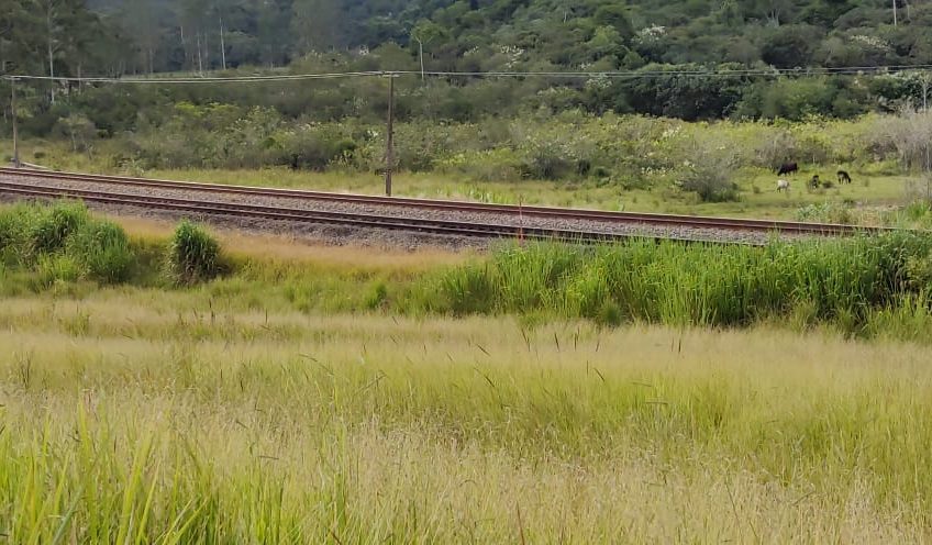 Mantiqueira
