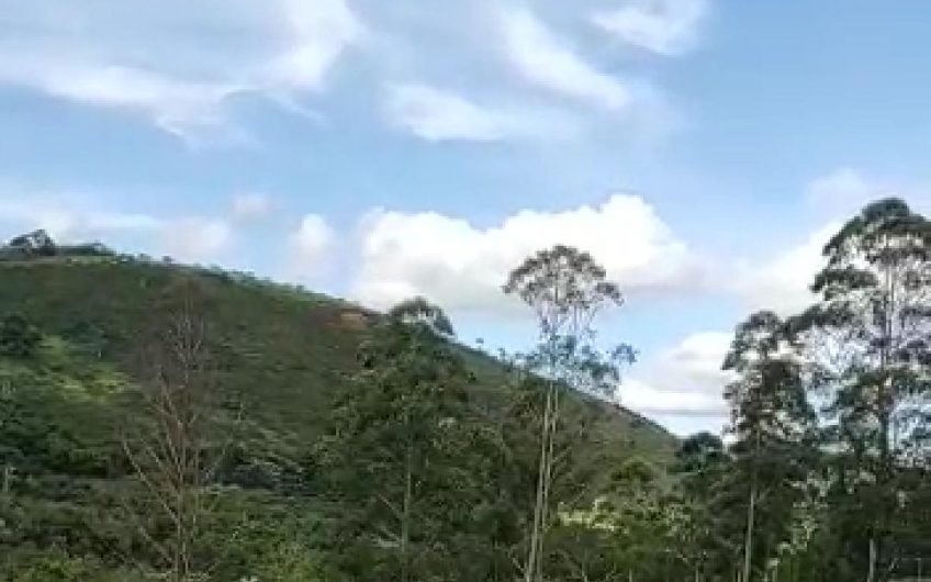 Mantiqueira