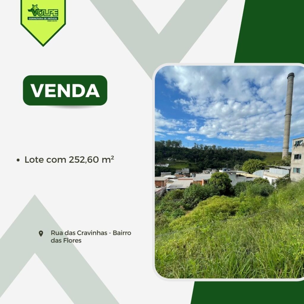 Rua das Cravinhas – Bairro das Flores