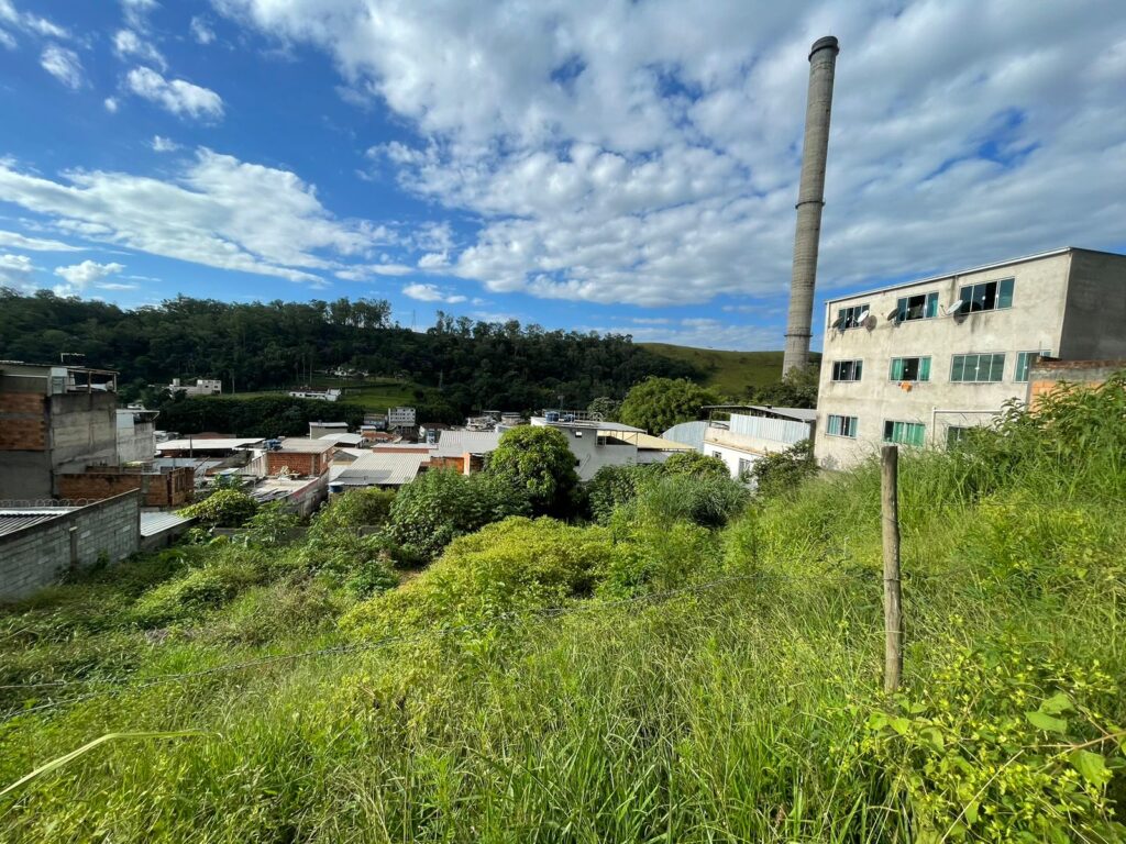 Rua das Cravinhas – Bairro das Flores