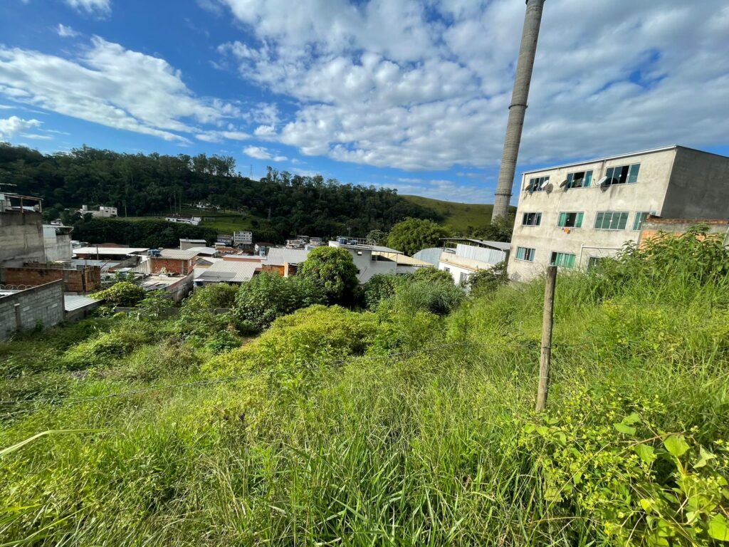 Rua das Cravinhas – Bairro das Flores