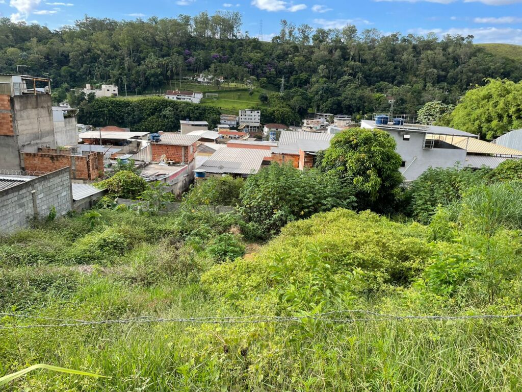 Rua das Cravinhas – Bairro das Flores