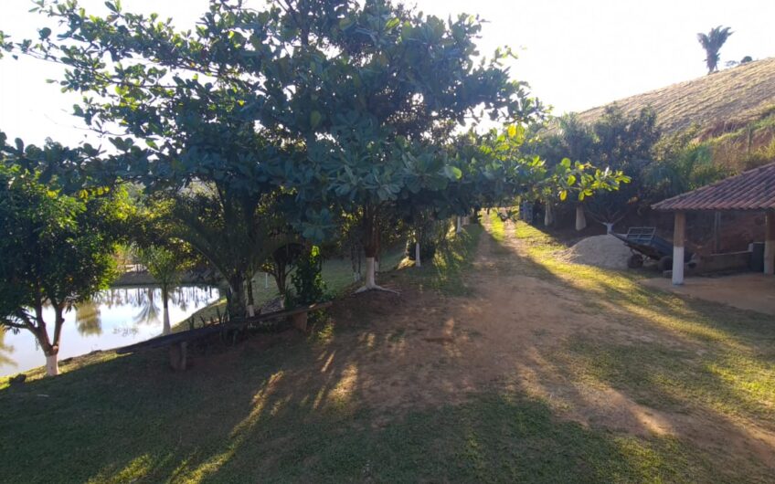 Estrada do Tinguá – Paula Lima – Juiz de Fora