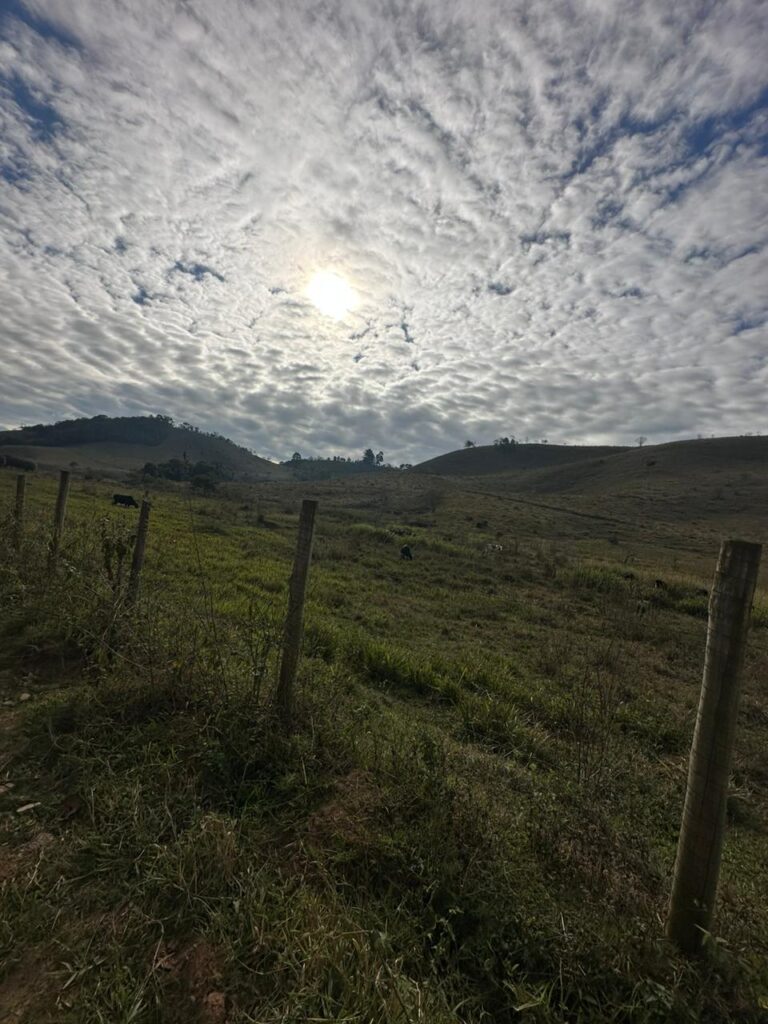 Fazenda Olaria - Posses