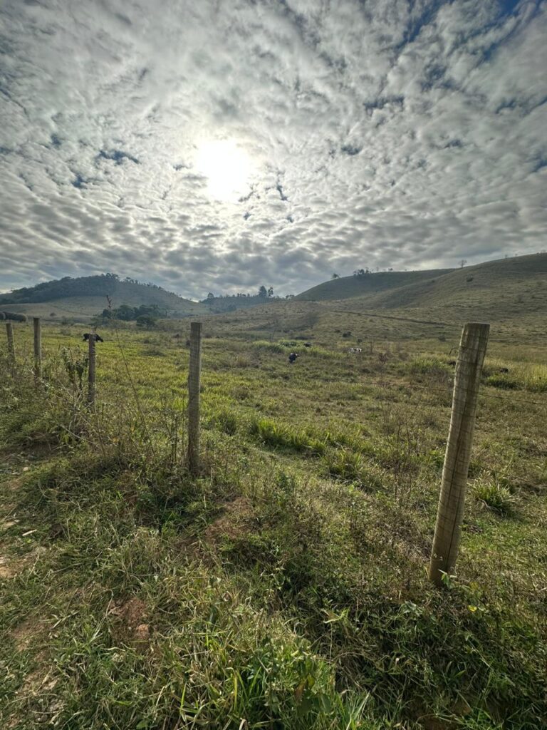 Fazenda Olaria - Posses