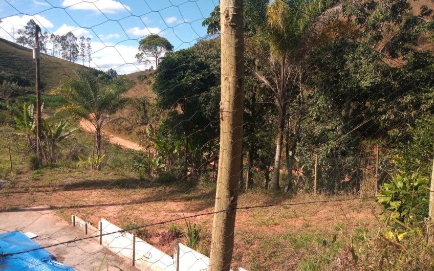 Formiga – Ewbank da Câmara