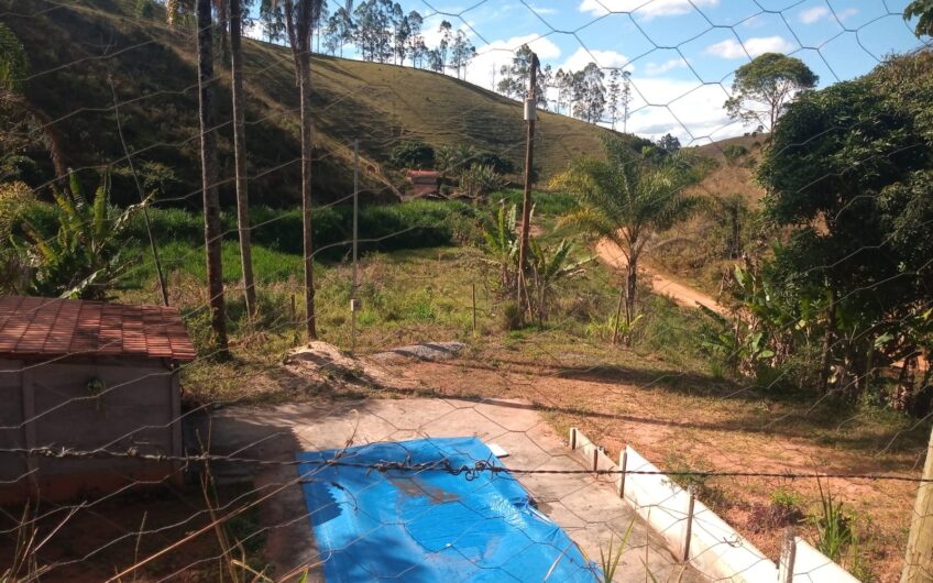Formiga – Ewbank da Câmara