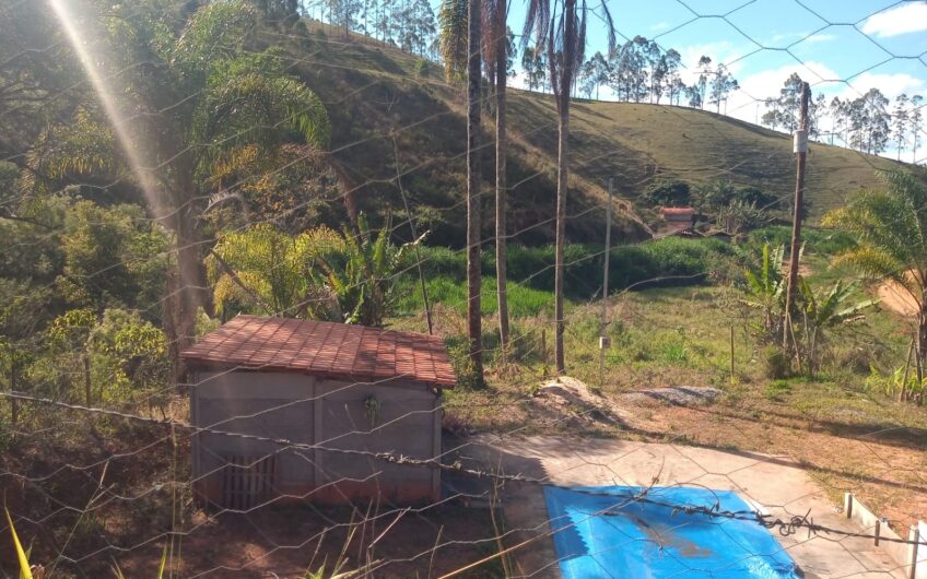 Formiga – Ewbank da Câmara