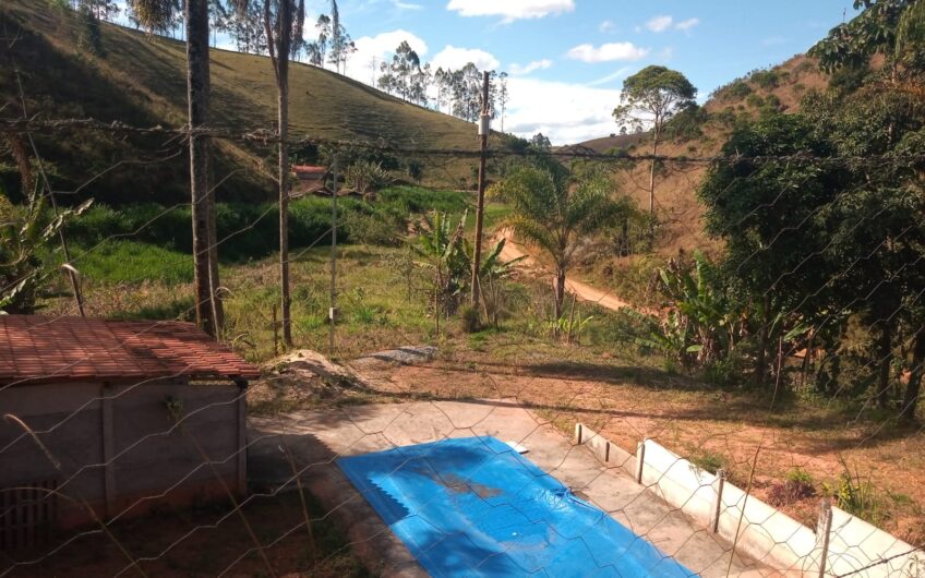 Formiga – Ewbank da Câmara
