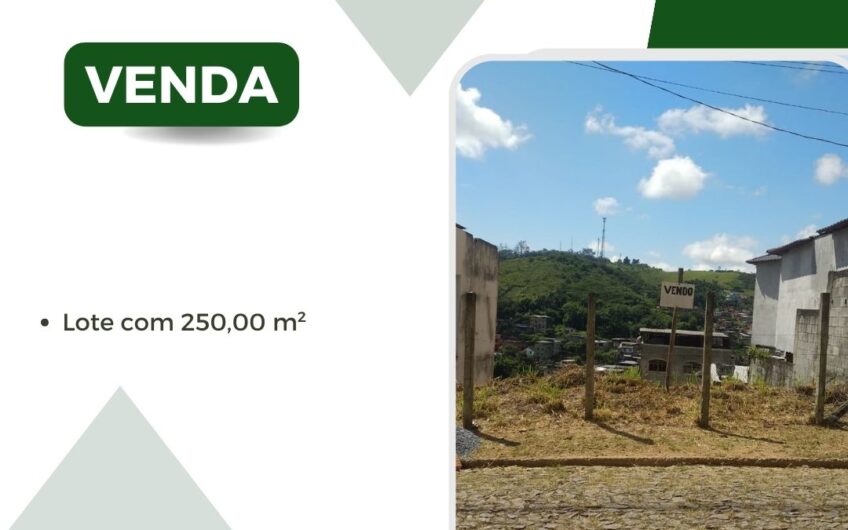 Rua Cônego Francisco Maximiniano de Oliveira – João Paulo II