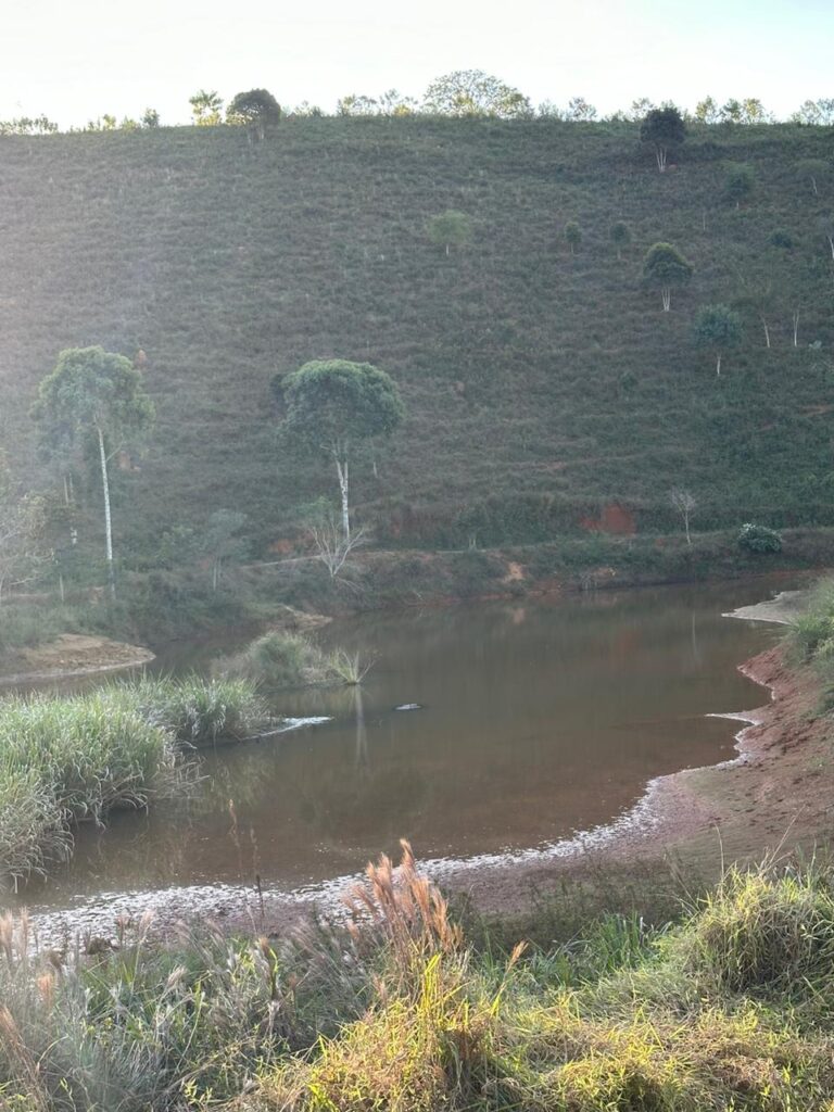Campo Alegre