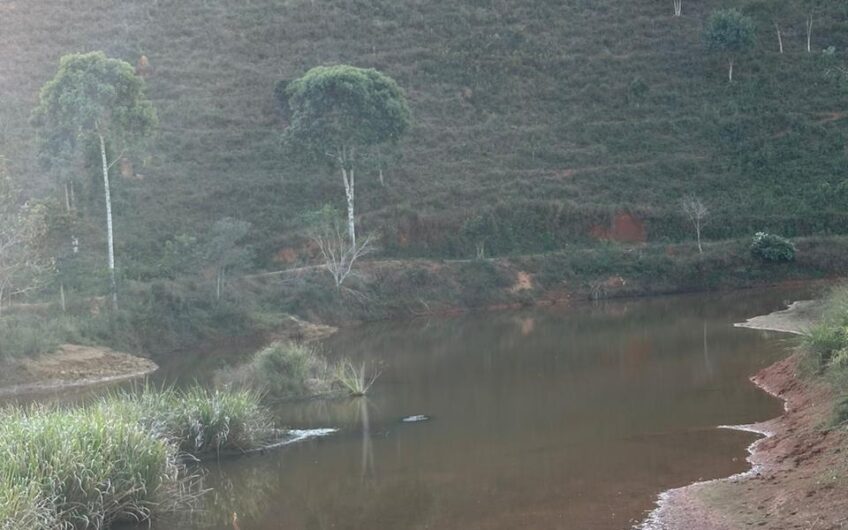 Campo Alegre