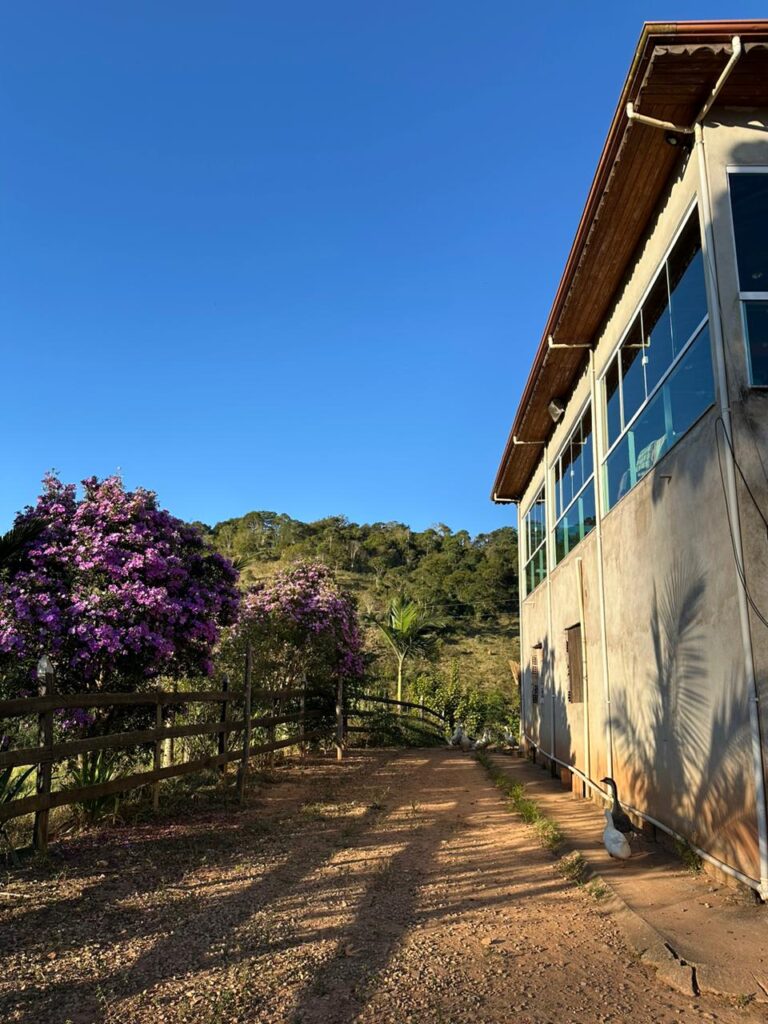 Campo Alegre