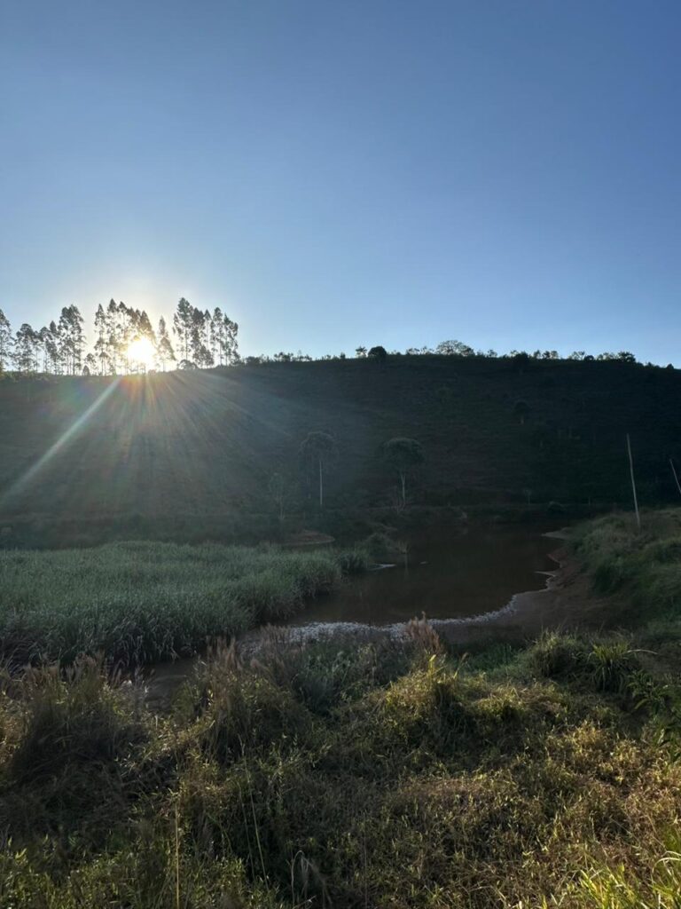 Campo Alegre