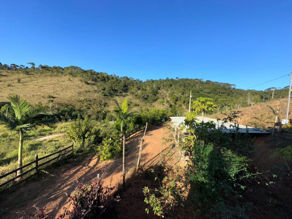 Campo Alegre