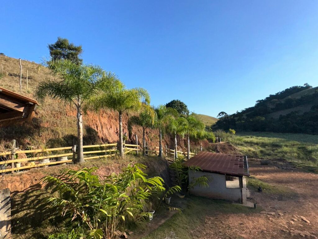 Campo Alegre