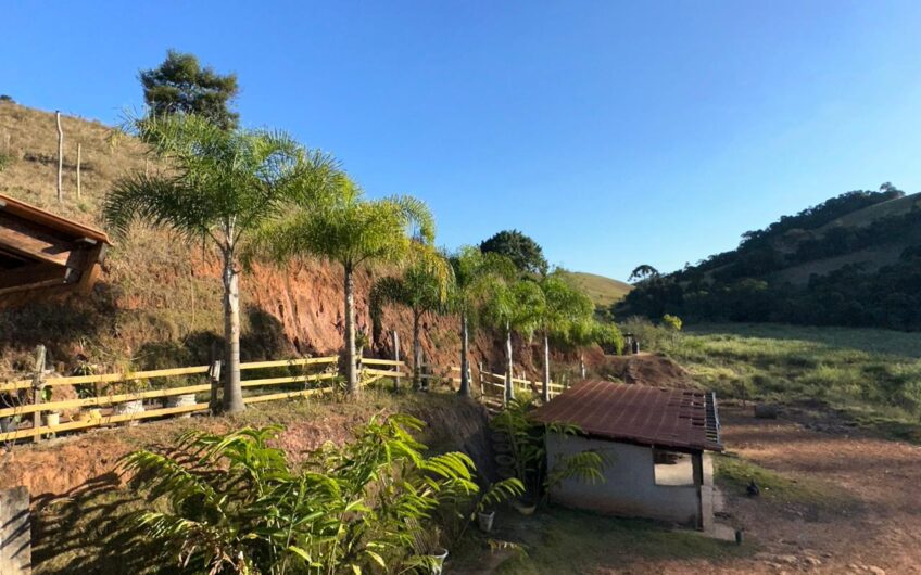 Campo Alegre