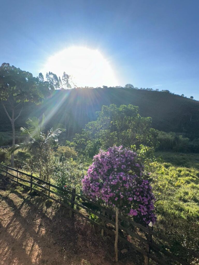 Campo Alegre