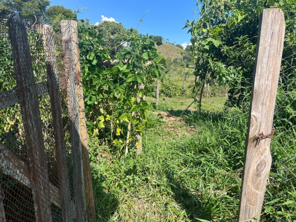 Fazenda Araçá, Estrada das Posses, Santos Dumont.