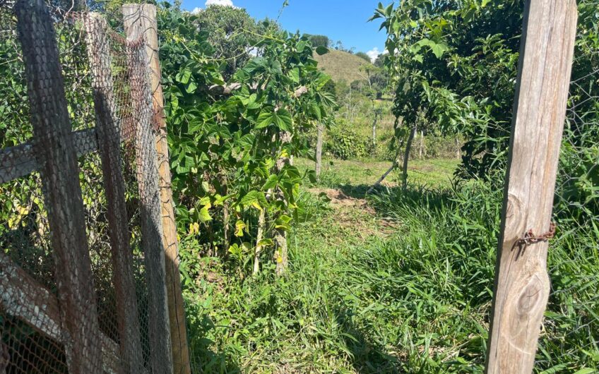 Fazenda Araçá, Estrada das Posses, Santos Dumont.