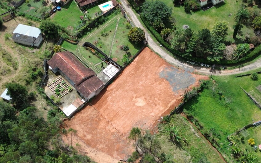 LOTE NA FRANCESA
