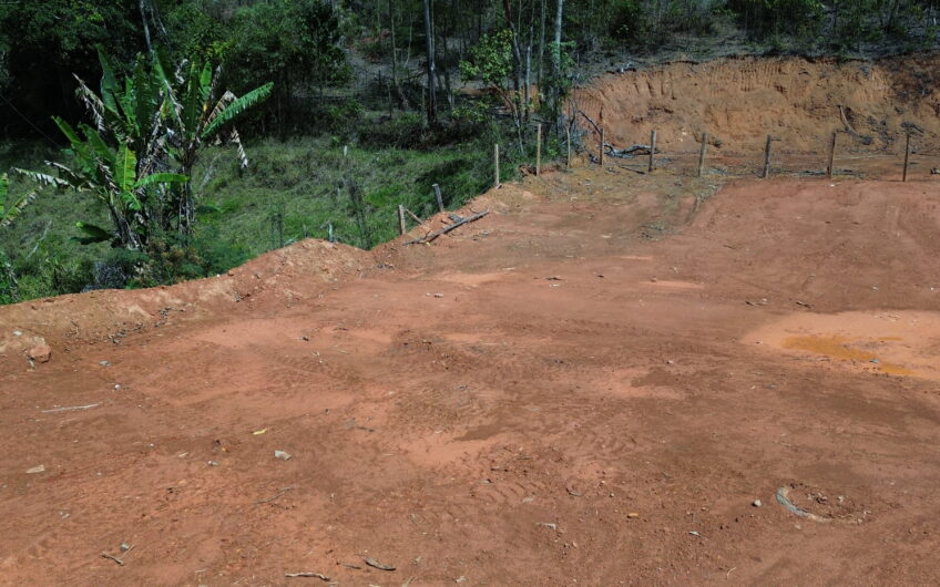 LOTE NA FRANCESA