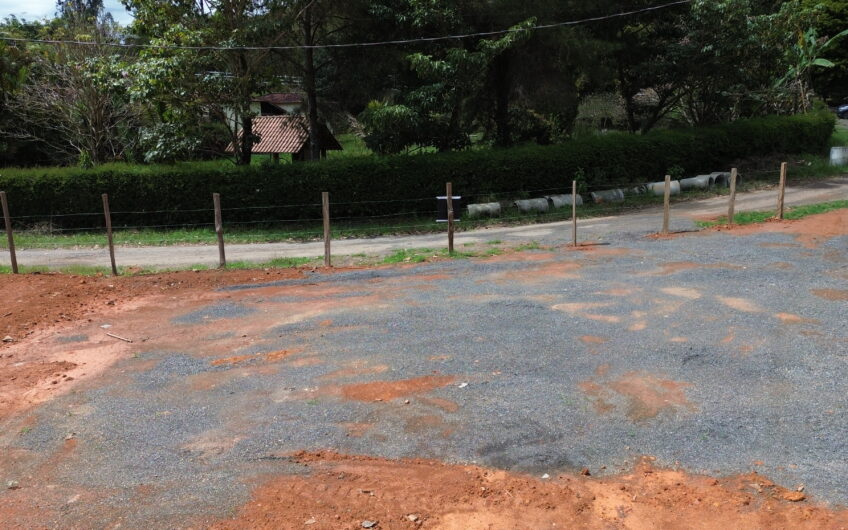 LOTE NA FRANCESA