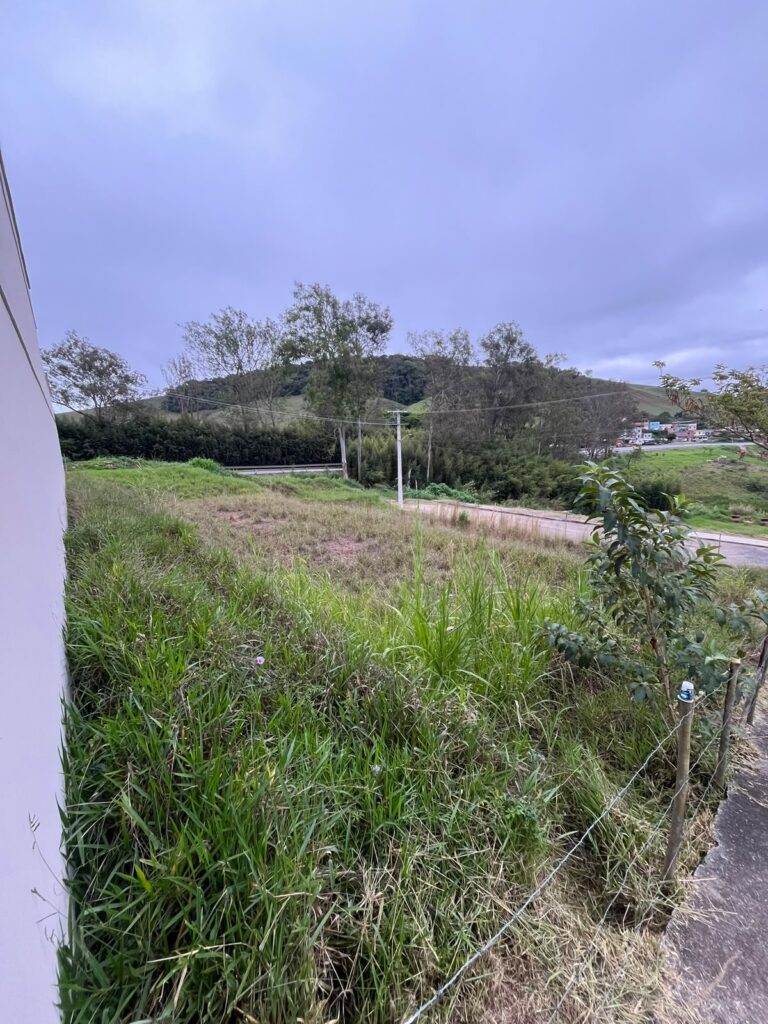 Rua Arminda Castelo Branco