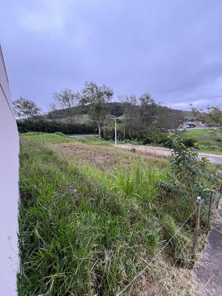Rua Arminda Castelo Branco